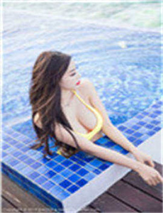 复仇2009