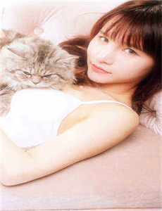 情满茶香
